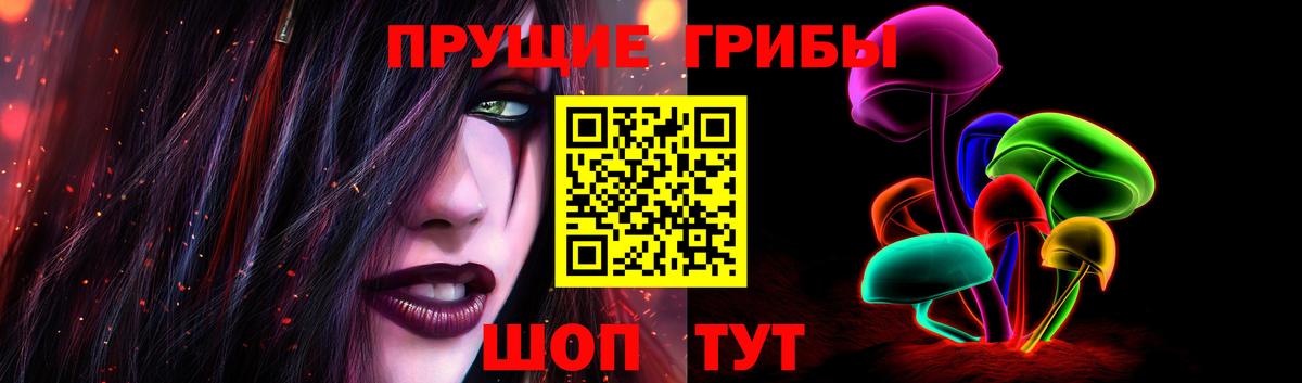 Людиново  наркота  Вход с VPN  Псилоцибиновые грибы мухоморы 